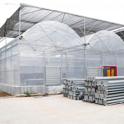 Span 6m/8m/9.6m/10m/12m/Customized Economical Double Arch Double Layer Film PVC Greenhouse
