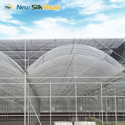 Span 6m/8m/9.6m/10m/12m/Customized Economical Double Arch Double Layer Film PVC Greenhouse
