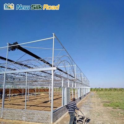 Span 6m/8m/9.6m/10m/12m/Customized Economical Double Arch Double Layer Film PVC Greenhouse