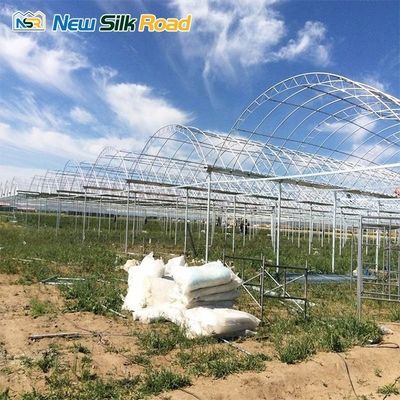 Span 6m/8m/9.6m/10m/12m/Customized Economical Double Arch Double Layer Film PVC Greenhouse