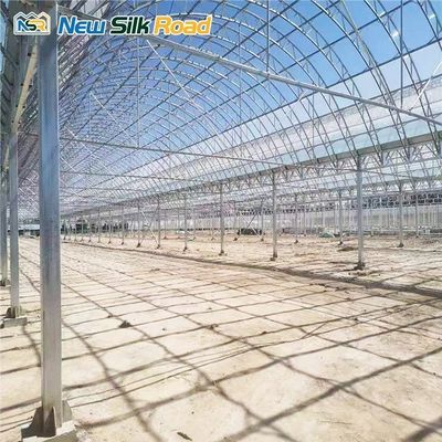 Span 6m/8m/9.6m/10m/12m/Customized Economical Double Arch Double Layer Film PVC Greenhouse