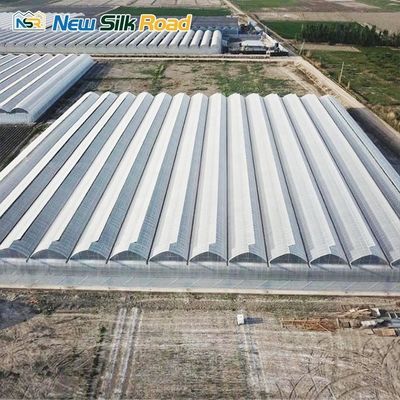 Snow Load 140mm/h Double-Layer Greenhouse for Vegetable Growing Issiqxona in Uzbekistan