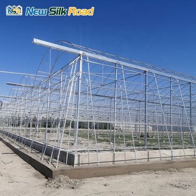Snow Load 140mm/h Double-Layer Greenhouse for Vegetable Growing Issiqxona in Uzbekistan