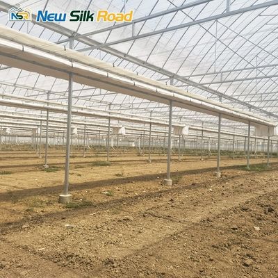 Snow Load 140mm/h Double-Layer Greenhouse for Vegetable Growing Issiqxona in Uzbekistan