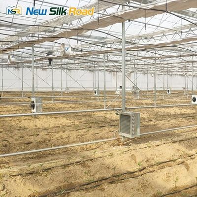 Snow Load 140mm/h Double-Layer Greenhouse for Vegetable Growing Issiqxona in Uzbekistan