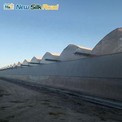 Double Plastic Steel Construction Plant Large Agricultural Greenhouse in Uzbekistan