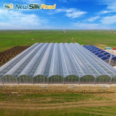 Small Scale Agriculture Length Customized Size Israel Style Polytunnel Film Greenhouse