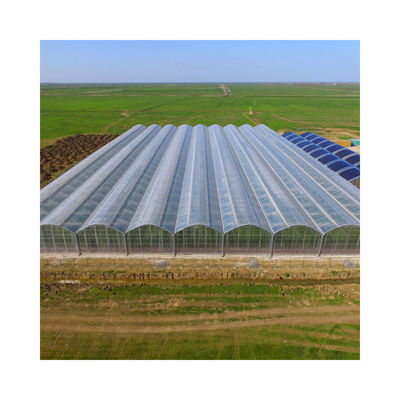 Factory Price Commercial Agriculture Multi-span Plastic Film Greenhouse
