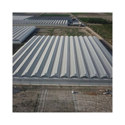 Factory Price Commercial Agriculture Multi-span Plastic Film Greenhouse