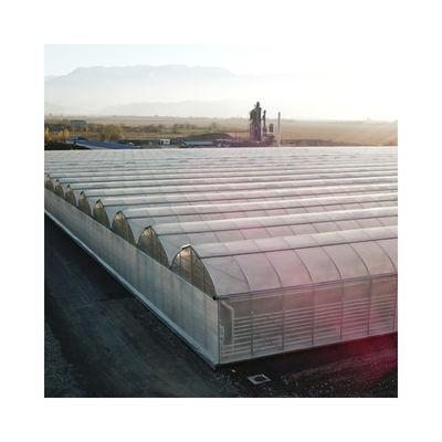 Factory Price Commercial Agriculture Multi-span Plastic Film Greenhouse