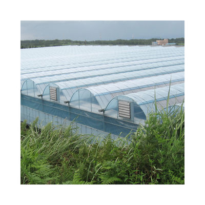 Factory Price Commercial Agriculture Multi-span Plastic Film Greenhouse