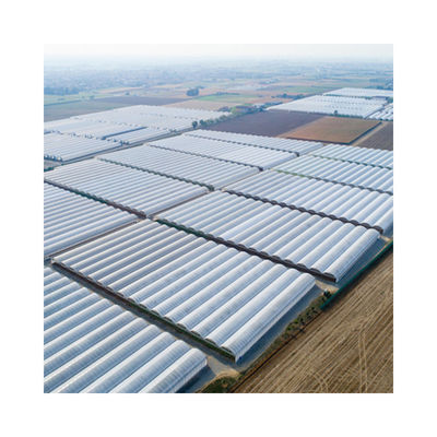 Factory Price Commercial Agriculture Multi-span Plastic Film Greenhouse