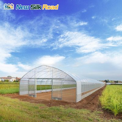 Small Tunnel/Hoop Design Agricultural Single-Span Greenhouse Hydroponics with PE Layer