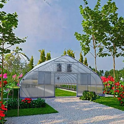Hot Galvanized Steel Pipe Single Layer Agricultural Serra a Campata for Small Plant
