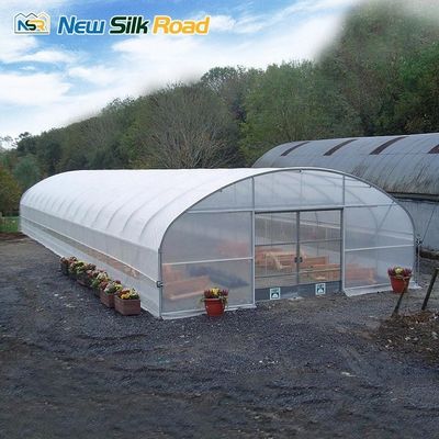 Small Size Galvanized Steel Frame Greenhouse for Planting Compact and Easy to Assemble