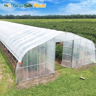 Agricultural Greenhouse with Single Span Square Shape and Hot Galvanized Steel Frame