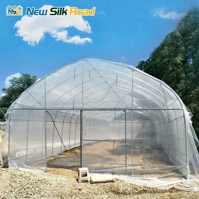 Low Cost Galvanized Steel Frame Greenhouse Tunnels PE Plastic Film Cover Single Small Large Square Agriculture Plant Shelter