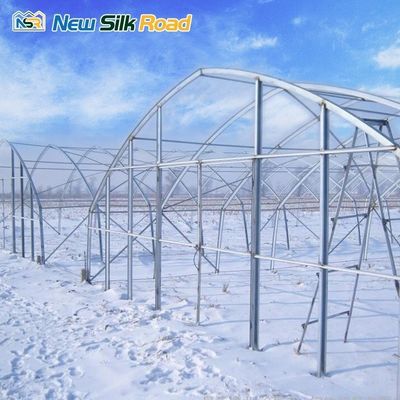 Tomato Farming Small PE Film Greenhouse with Galvanized Steel Frame and PO Film Cover