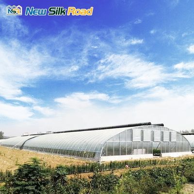 100/120/150/200micro PE Film Galvanized Steel Film Tunnel Greenhouse NSR Instruction
