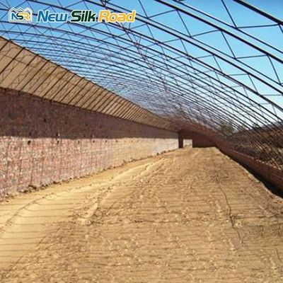 Customizable Size Solar Greenhouse with Double Layer Film and Galvanized Steel Frame