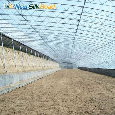 Customizable Size Solar Greenhouse with Double Layer Film and Galvanized Steel Frame