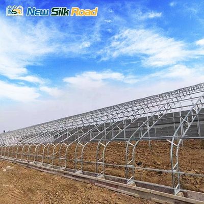 Customizable Size Solar Greenhouse with Double Layer Film and Galvanized Steel Frame