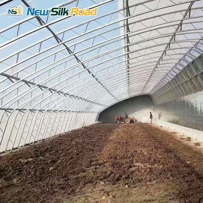 PE Plastic Film Covered Galvanized Steel Frame Greenhouse for Small to Large Square
