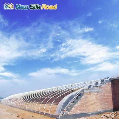 Low Cost Single Layer Winter Greenhouse with Galvanized Steel Frame Plastic Glass Cover Material Planting Tomatoes Small Size