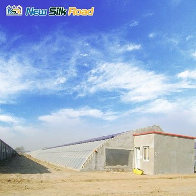 Low Cost Single Layer Winter Greenhouse with Galvanized Steel Frame Plastic Glass Cover Material Planting Tomatoes Small Size