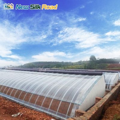 Low Cost Single Layer Winter Greenhouse with Galvanized Steel Frame Plastic Glass Cover Material Planting Tomatoes Small Size
