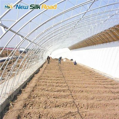 NSR Greenhouse Agricultural Double Layer Chinese Style Solar Greenhouse For Plant