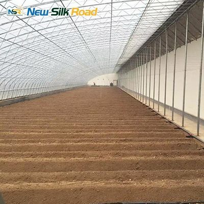 NSR Greenhouse Agricultural Double Layer Chinese Style Solar Greenhouse For Plant