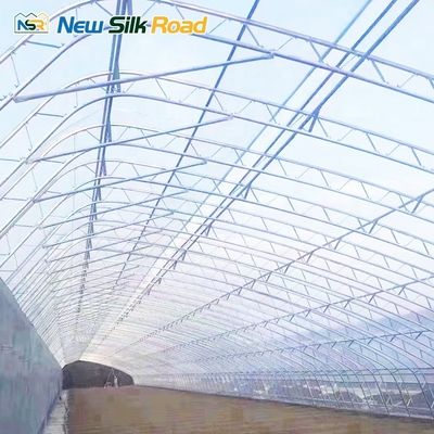 NSR Greenhouse Agricultural Double Layer Chinese Style Solar Greenhouse For Plant