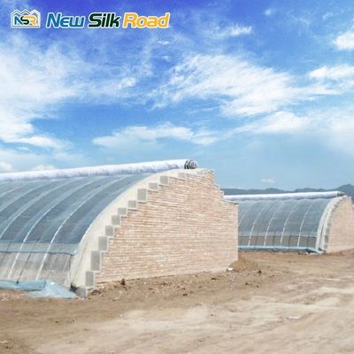 PE Passive Solar Greenhouse in Galvanized Steel Frame for Agricultural Sustainability