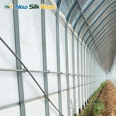 PE Passive Solar Greenhouse in Galvanized Steel Frame for Agricultural Sustainability