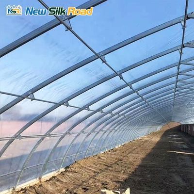 Small to Large Size Hydroponic Solar Greenhouse PE Film Plant for Chinese Market