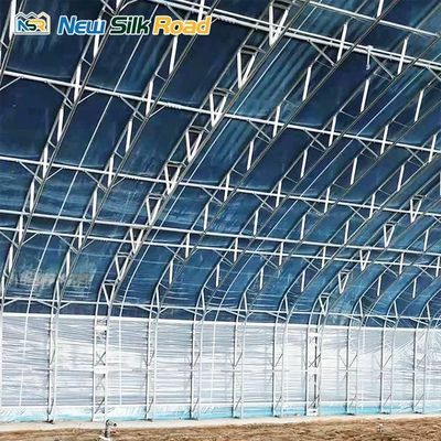 Small to Large Size Hydroponic Solar Greenhouse PE Film Plant for Chinese Market