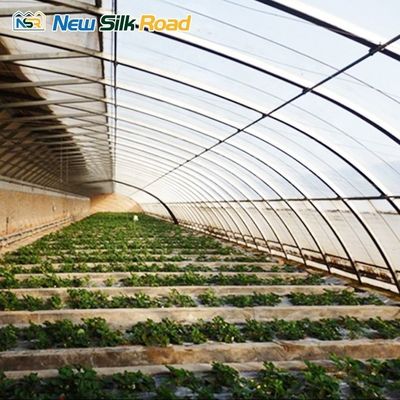 Galvanized Steel Frame Greenhouse For Winter With Ventilation And Irrigation Systems