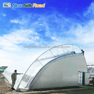 Single-Span Agricultural Greenhouses Made of Hot Galvanized Steel Pipe for Agriculture
