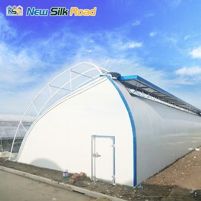 Single-Span Agricultural Greenhouses Made of Hot Galvanized Steel Pipe for Agriculture