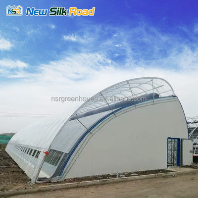 Single-Span Agricultural Greenhouses Made of Hot Galvanized Steel Pipe for Agriculture