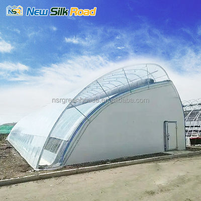 Single-Span Agricultural Greenhouses Made of Hot Galvanized Steel Pipe for Agriculture