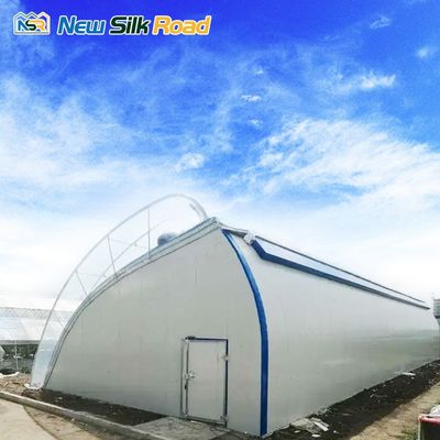Single-Span Agricultural Greenhouses Made of Hot Galvanized Steel Pipe for Agriculture