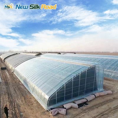 Single-Span Agricultural Greenhouses Made of Hot Galvanized Steel Pipe for Agriculture