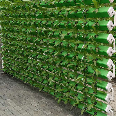 5.8m Section Hydroponic Nft System Greenhouse Ideal for Growing Fruits and Vegetables