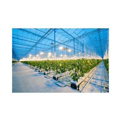5.8m Section Hydroponic Nft System Greenhouse Ideal for Growing Fruits and Vegetables