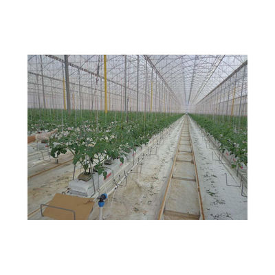 Hot Sale Vegetable Fruits Flowers Strawberry Stable Structure Pc Sheet Soilless Culture