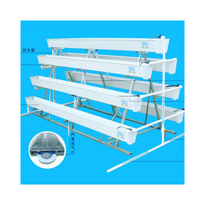 White Food Grade Plastic Board Greenhouse for Growing Strawberries in Multi-Span Design