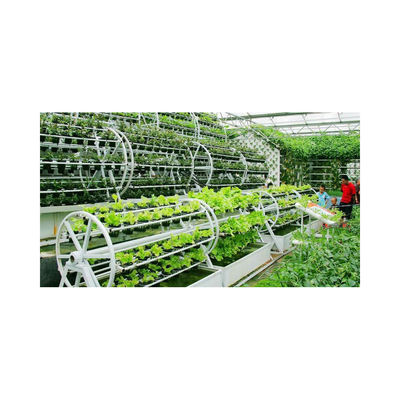 PVC NFT Hydroponic System for Vegetables Greenhouse 2m-5.8m Length Stable Steel Frame