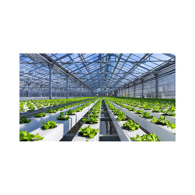 PVC NFT Hydroponic System for Vegetables Greenhouse 2m-5.8m Length Stable Steel Frame
